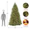 10 ft. Pre-Lit Dunhill® Fir Hinged Full Artificial Christmas Tree, Clear Lights